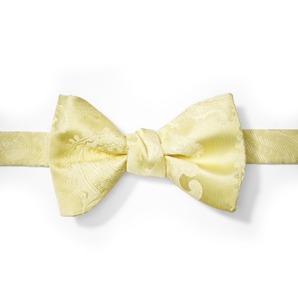 Canary Paisley Pre-Tied Bow Tie