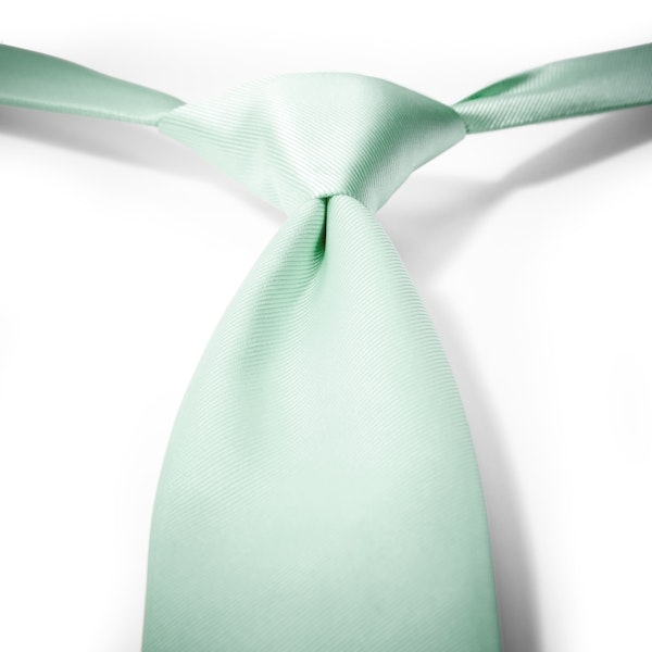 Mint Pre-Tied Tie