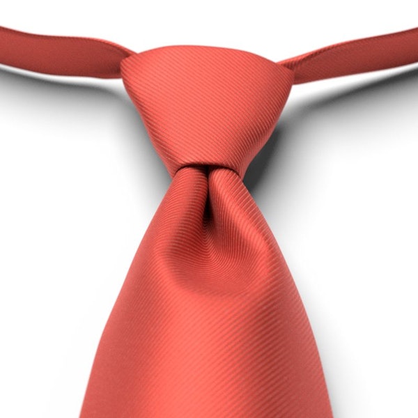 Persimmon Solid Pre-Tied Tie