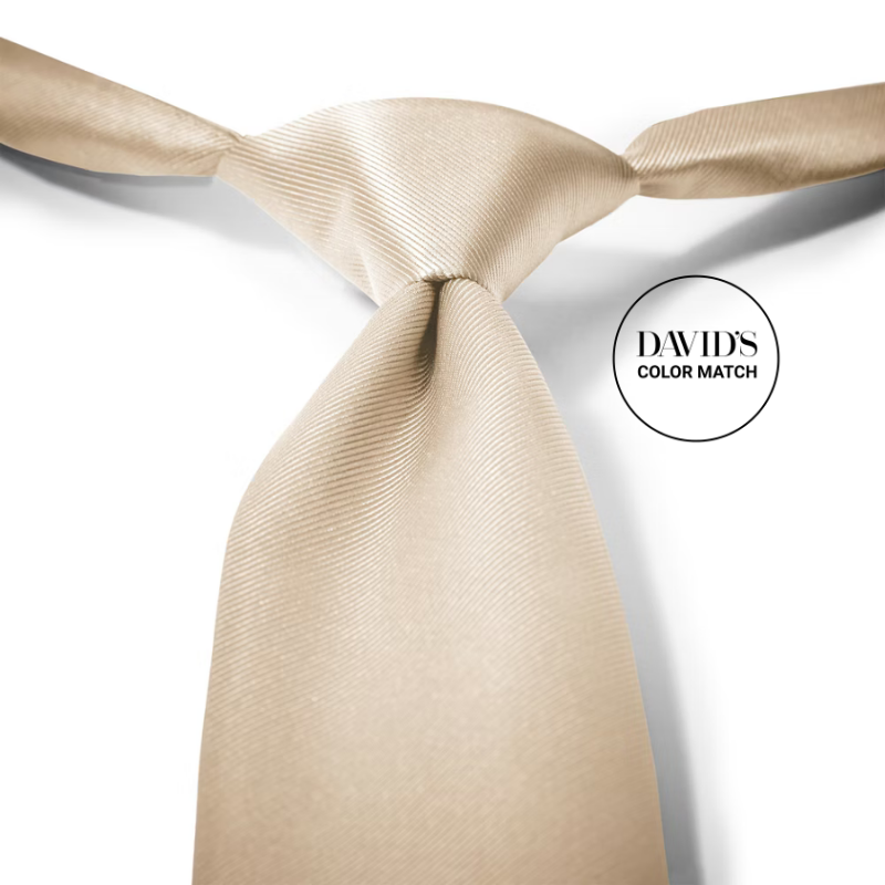 Champagne Pre-Tied Tie