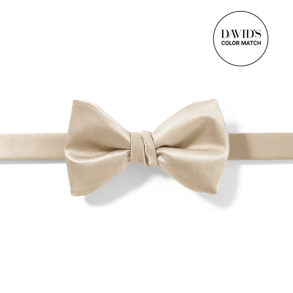 Champagne Pre-Tied Bow Tie