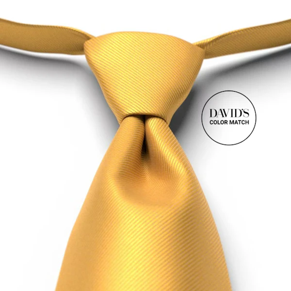 Butterscotch Pre-Tied Tie