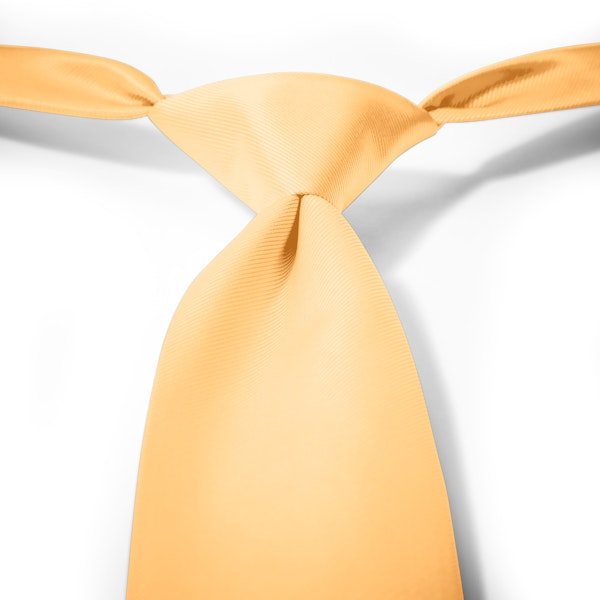 Gold Pre-Tied Tie