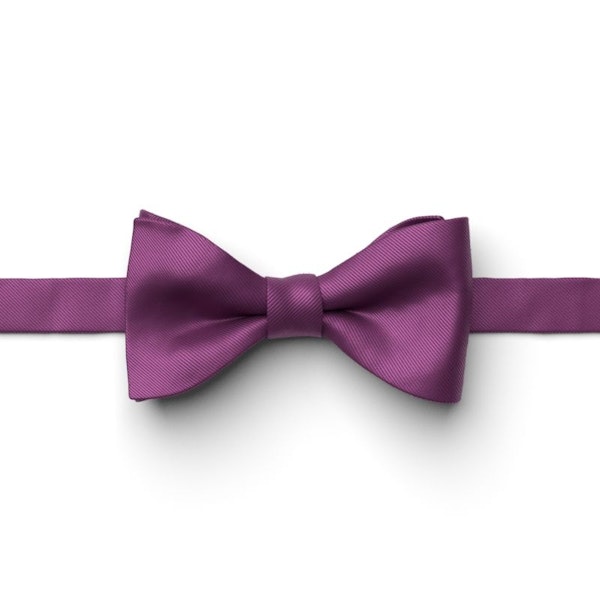 Persian Plum Pre-Tied Bow Tie
