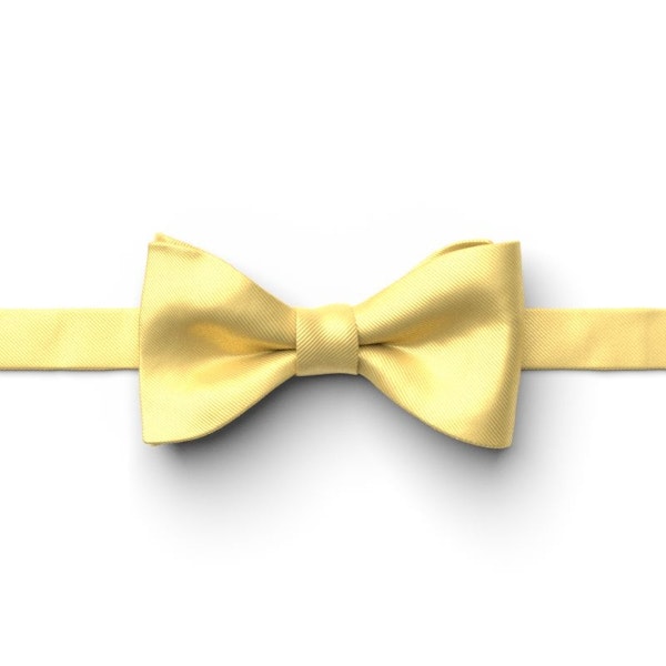 Sunbeam Pre-Tied Bow Tie