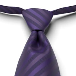Regency Striped Pre-Tied Tie