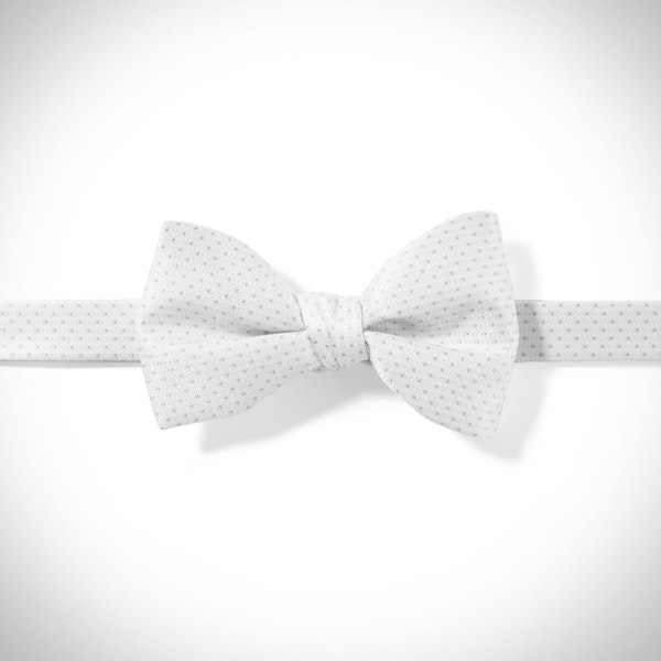 White and Silver Pin Dot Pre-Tied Bow Tie