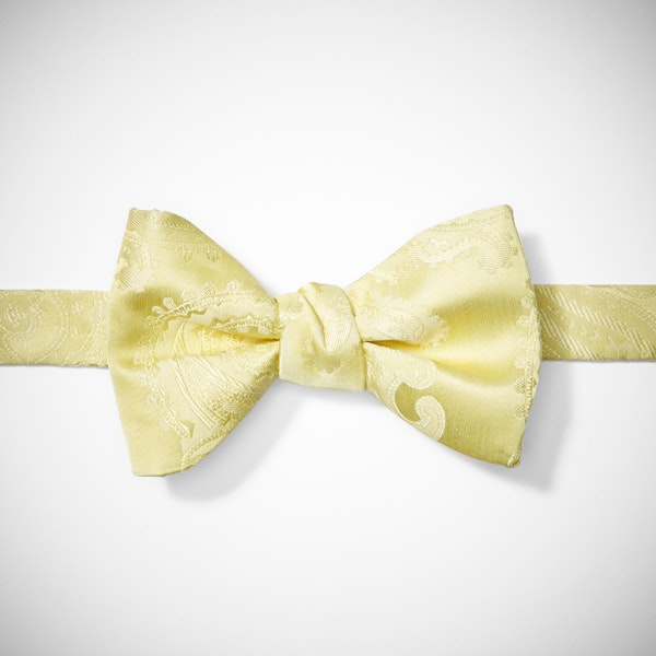Canary Paisley Pre-Tied Bow Tie